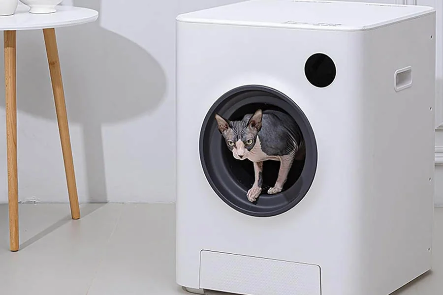 best no smell cat litter box